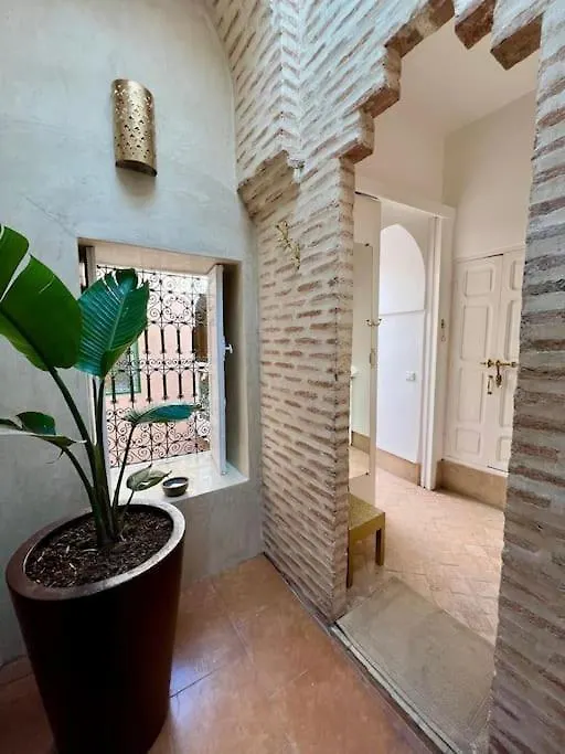Magnifique Riad Prive 3 Chambres, Terrasse Sur Le Toit A Marrakech Au Coeur De La Medina مراكش المغرب