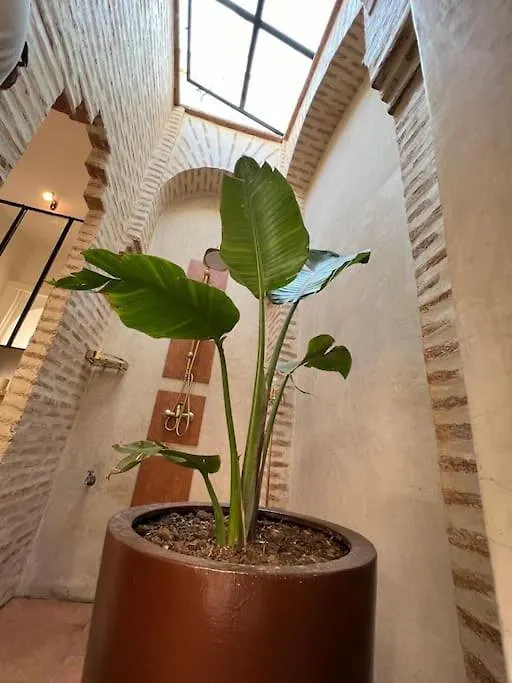 فيلة Magnifique Riad Prive 3 Chambres, Terrasse Sur Le Toit A Marrakech Au Coeur De La Medina مراكش